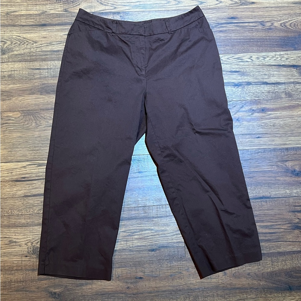 George Dress Capri Pants Size 14